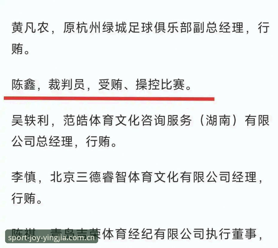 足协第三批禁足名单深度解析：65名足球从业者被重罚，行业乱象一览